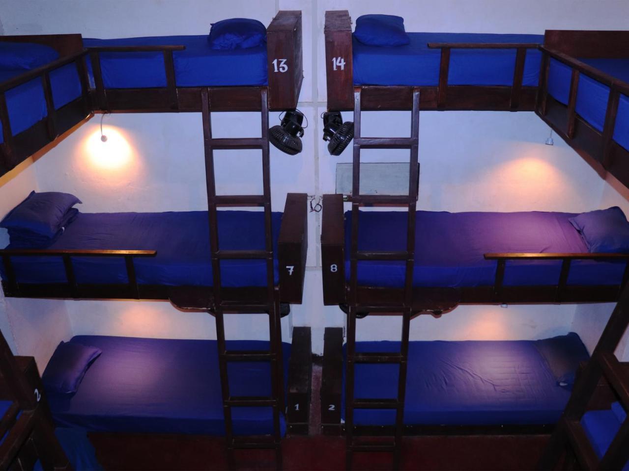 That Crazy Hostel Анджуна Екстериор снимка